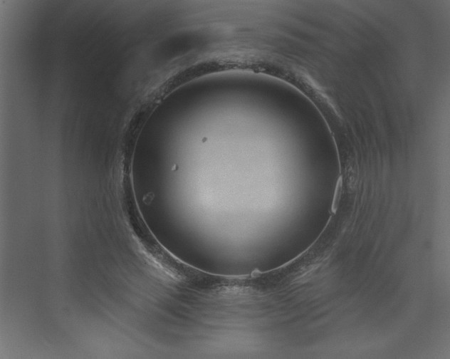 X0000073990637200608211349