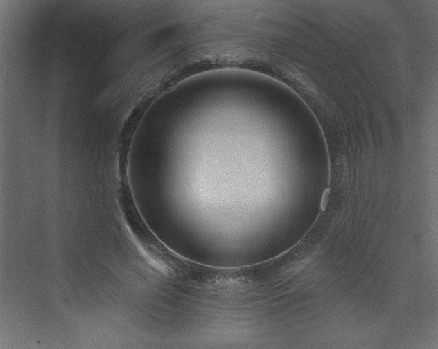 X0000073990638200608211349