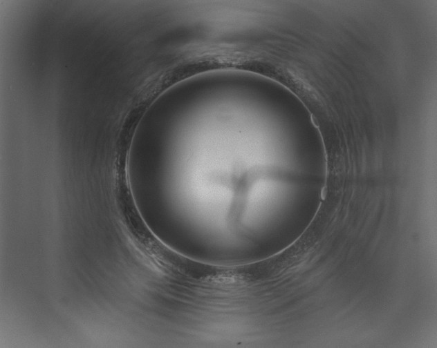 X0000073990639200608211349