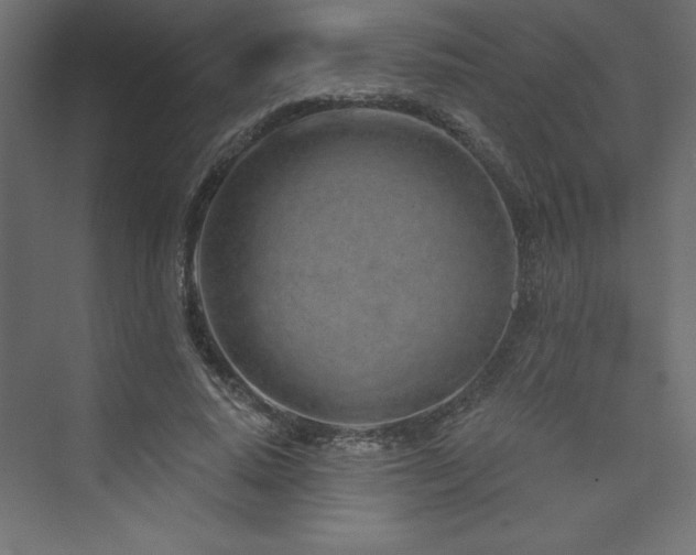 X0000073990640200608211349