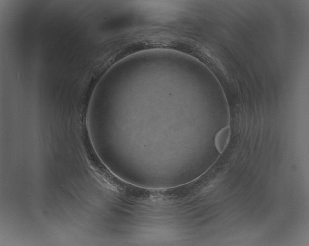 X0000073990641200608211349