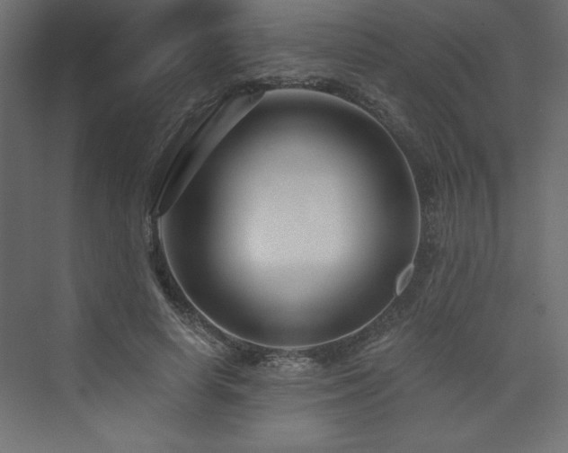 X0000073990642200608211349