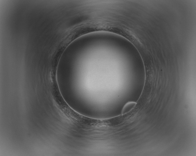 X0000073990643200608211349