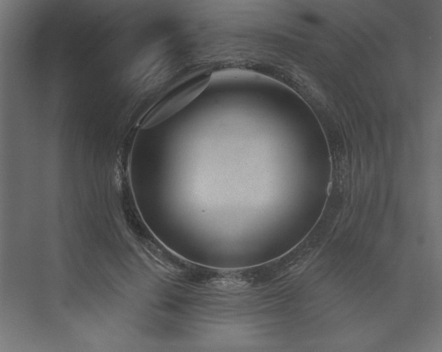 X0000073990644200608211349