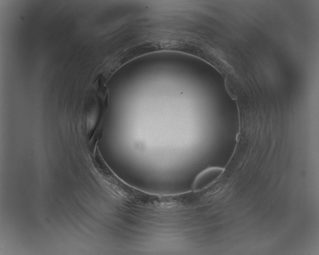 X0000073990645200608211349