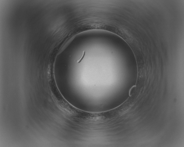 X0000073990646200608211349