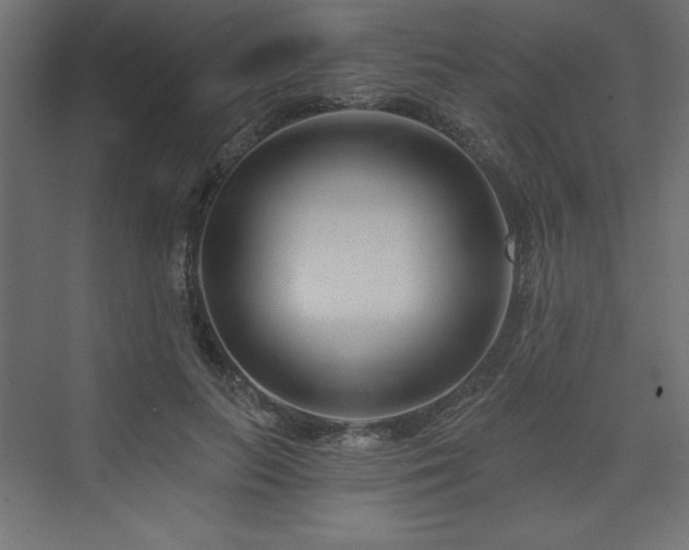 X0000073990647200608211349