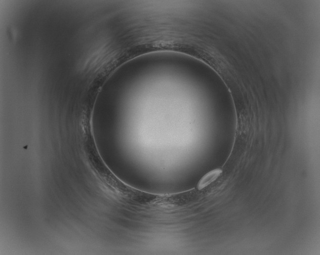 X0000073990648200608211349