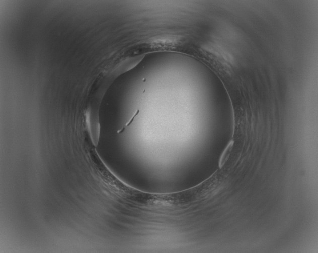 X0000073990649200608211349