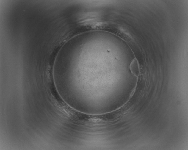 X0000073990650200608211349