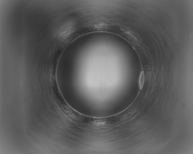 X0000073990651200608211349