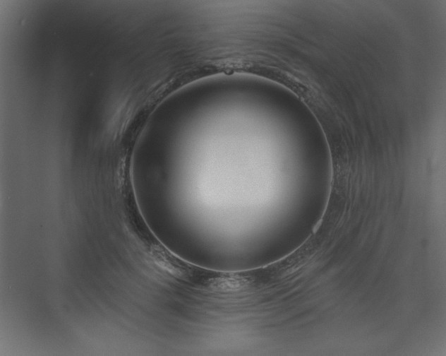 X0000073990652200608211349