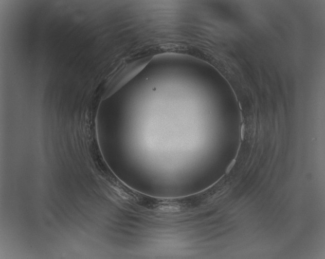 X0000073990653200608211349