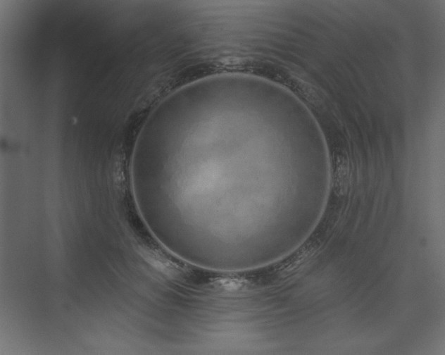 X0000073990654200608211349