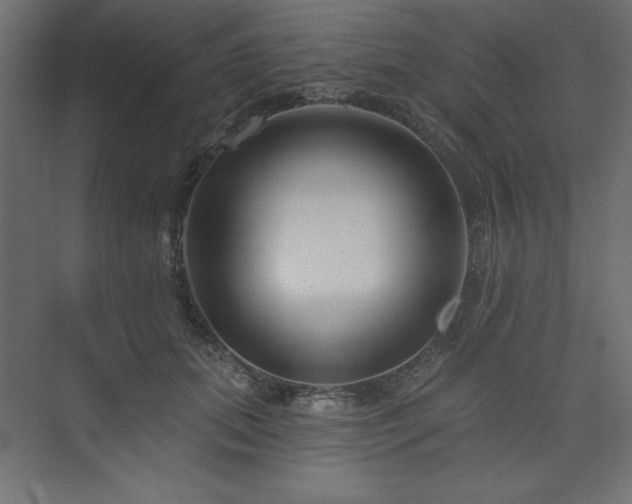 X0000073990655200608211349