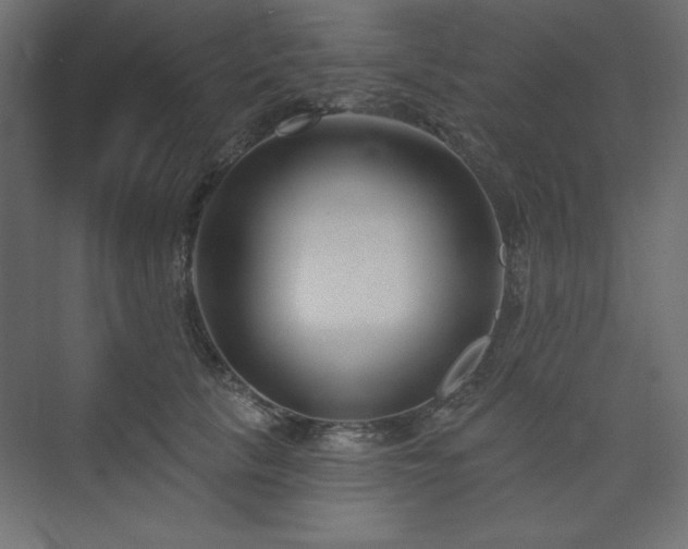 X0000073990657200608211349