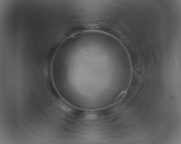 X0000073990658200608211349