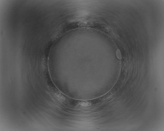 X0000073990659200608211349