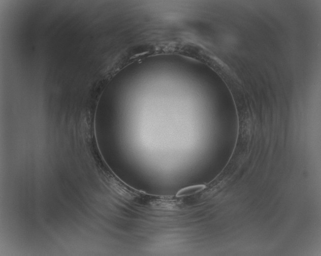 X0000073990661200608211349