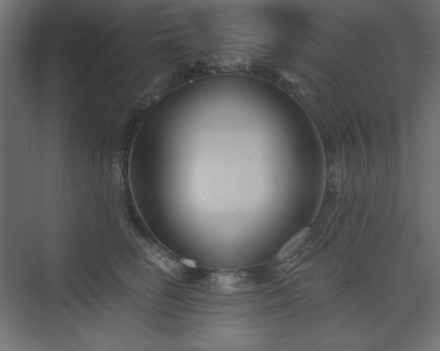 X0000073990662200608211349