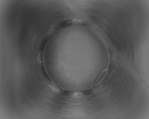 X0000073990663200608211349