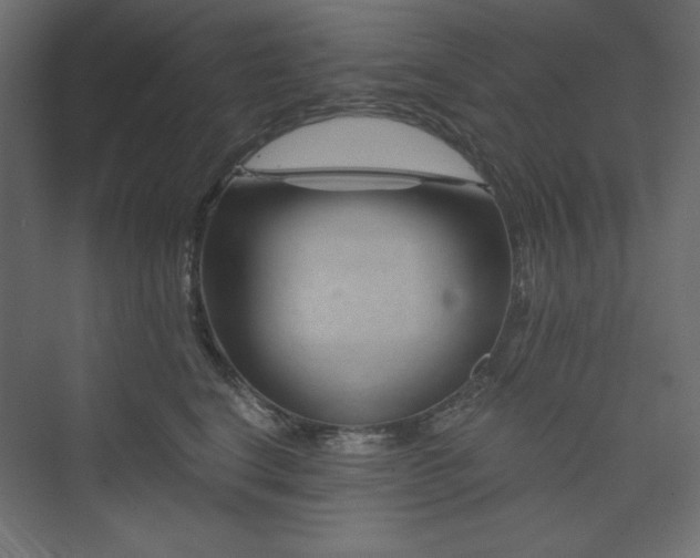 X0000073990664200608211349