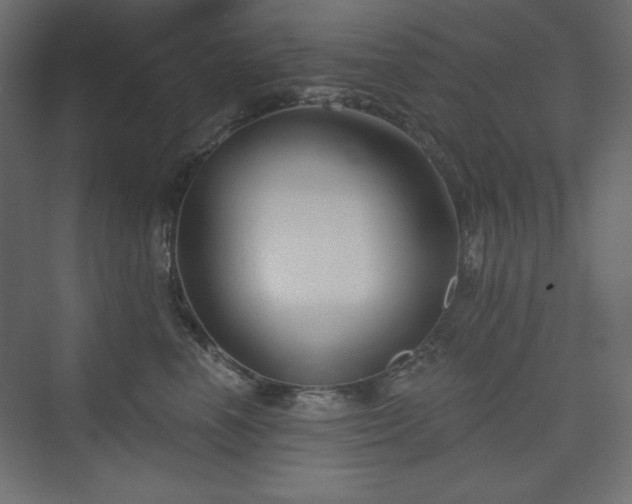 X0000073990666200608211349