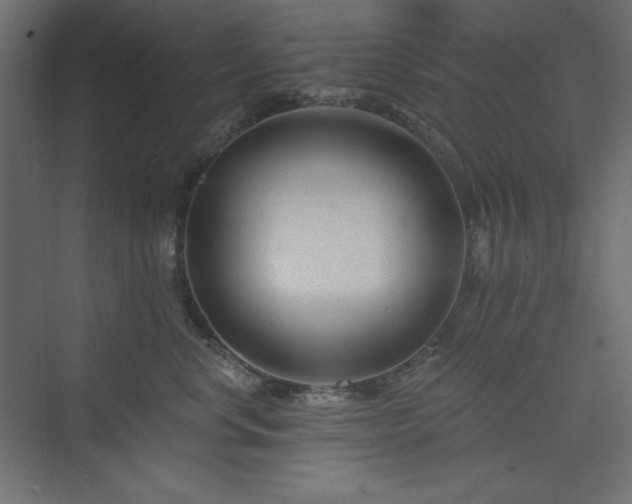 X0000073990668200608211349