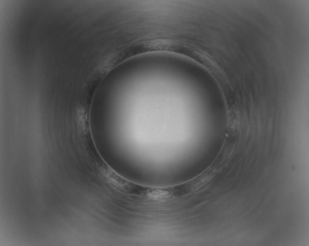 X0000073990669200608211349