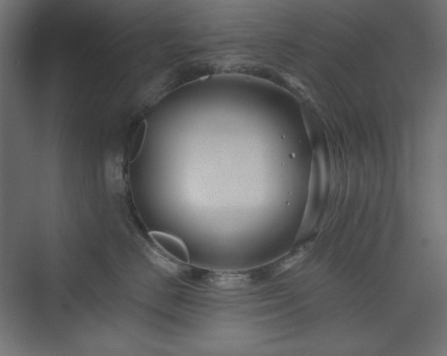 X0000073990670200608211349