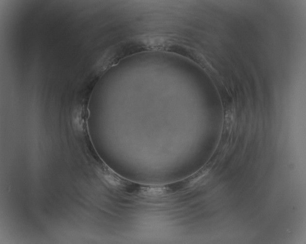 X0000073990671200608211349