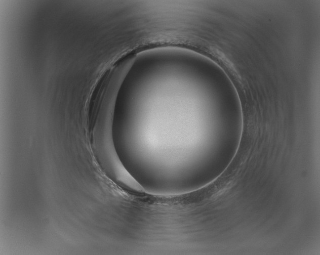 X0000073990673200608211349