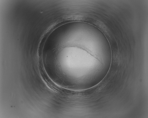 X0000073990674200608211349