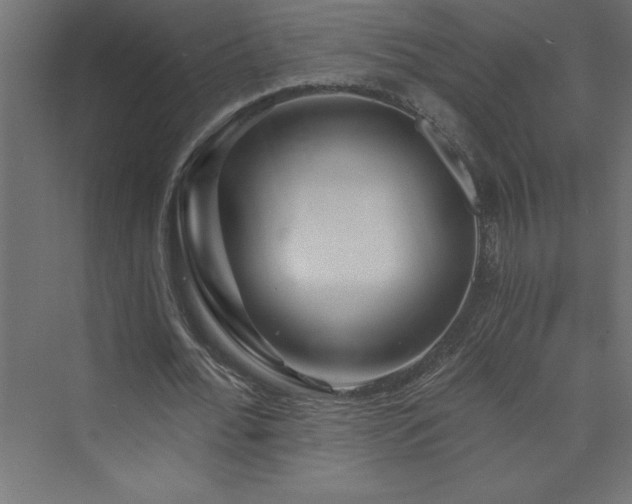 X0000073990676200608211348