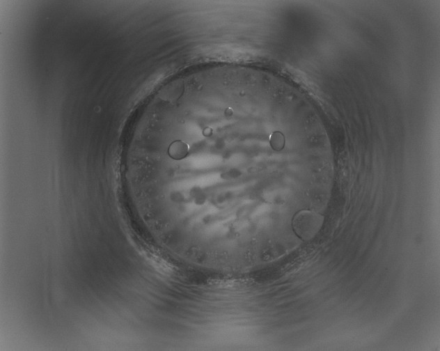 X0000073990679200608211348