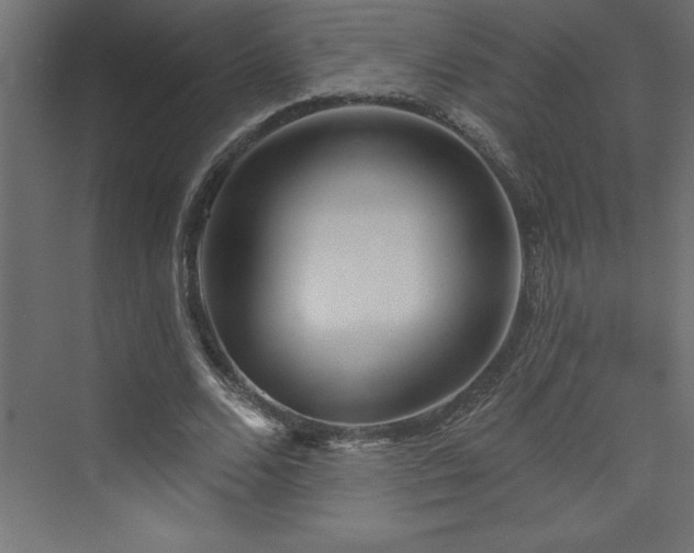 X0000073990680200608211348