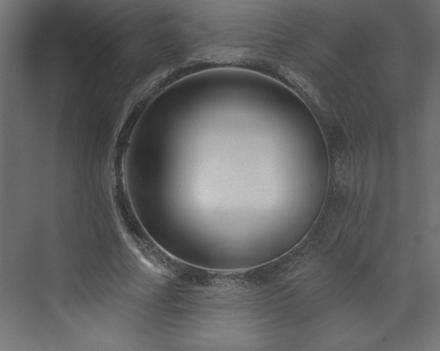 X0000073990682200608211348