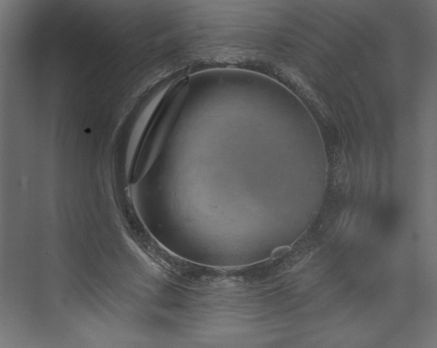 X0000073990683200608211348