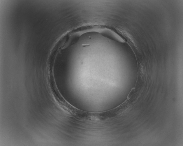 X0000073990684200608211348