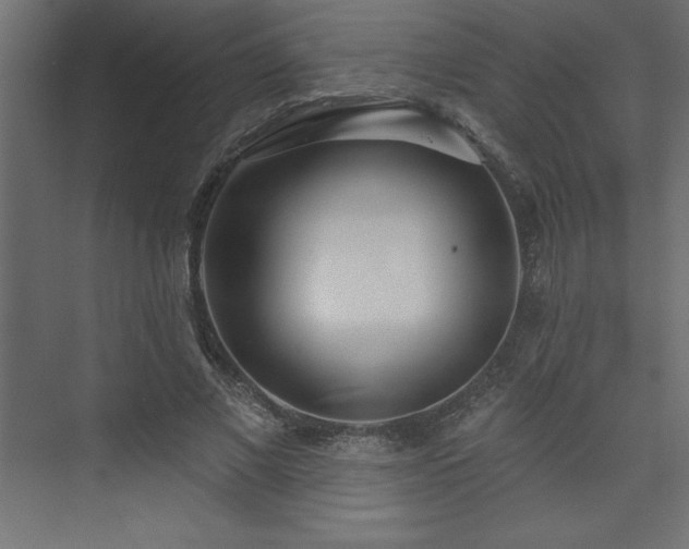 X0000073990685200608211348