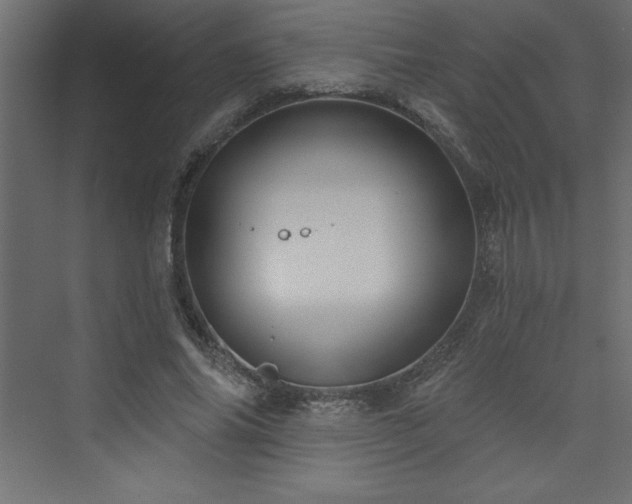 X0000073990686200608211348