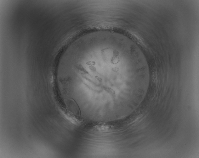 X0000073990687200608211348