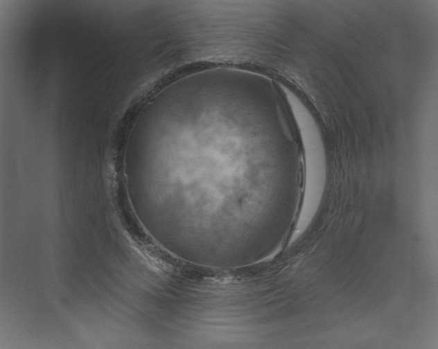 X0000073990688200608211348