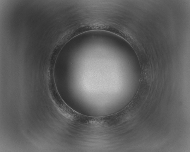 X0000073990690200608211348