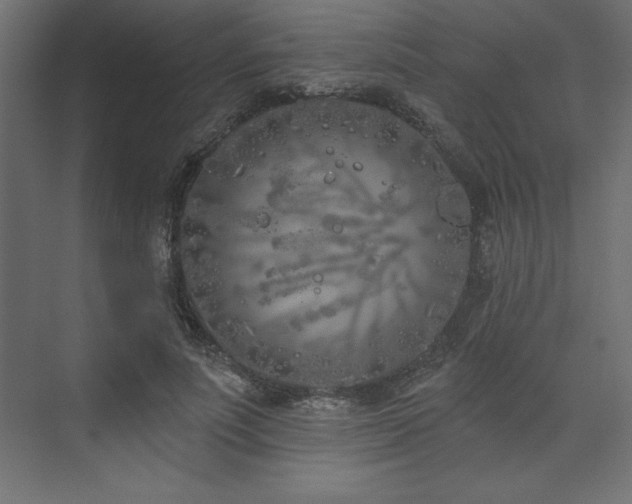 X0000073990691200608211348