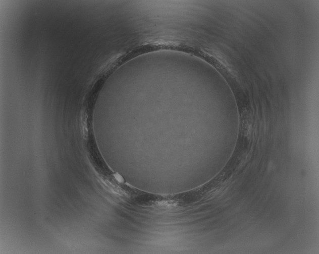 X0000073990692200608211348