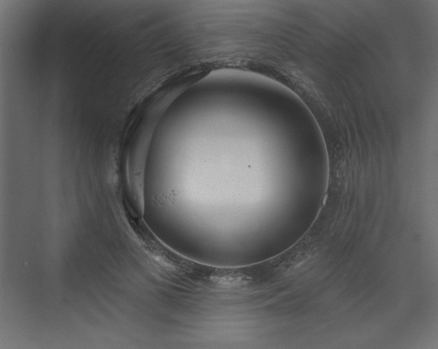 X0000073990693200608211348