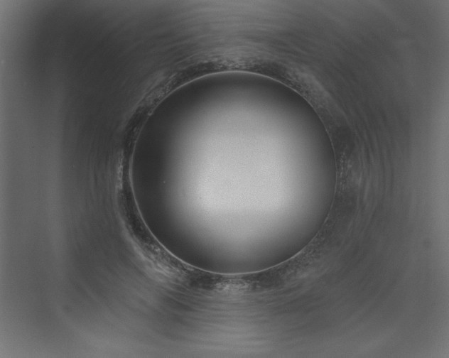 X0000073990694200608211348