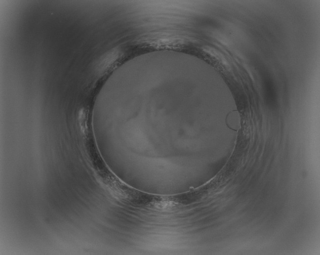 X0000073990695200608211348