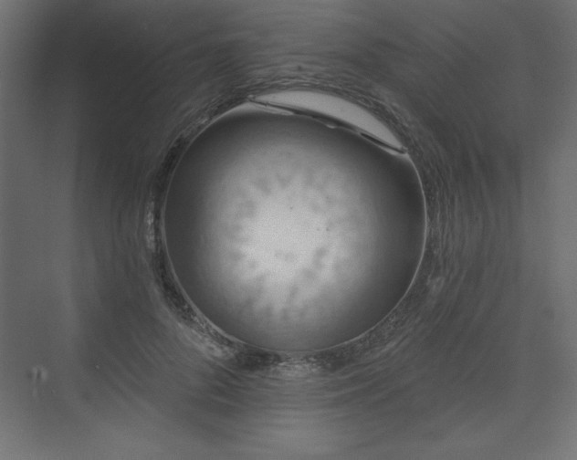 X0000073990696200608211348